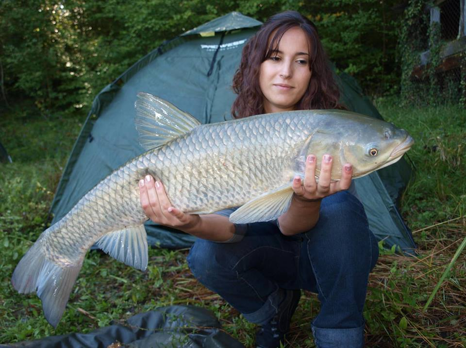 Carp Girl Fishing - carp-girl-fishing-8.bmp